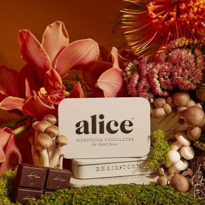 Alice Functional Mushroom Focus Chocolates- Brainstorm