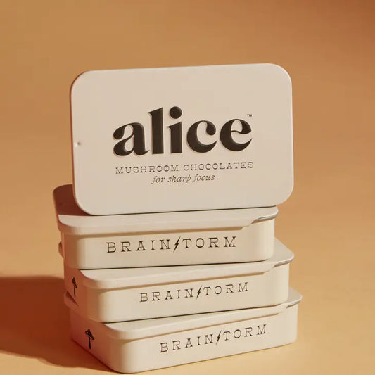 Alice Functional Mushroom Focus Chocolates- Brainstorm