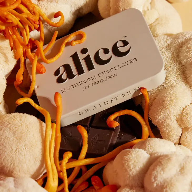 Alice Functional Mushroom Focus Chocolates- Brainstorm