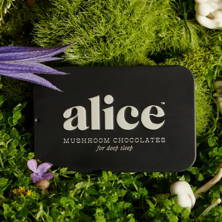 Alice Functional Mushroom Sleep Chocolates- Nightcap